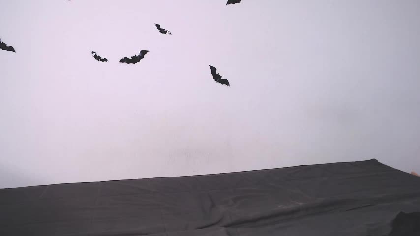 litle_owl Live Sex December 2, 2025