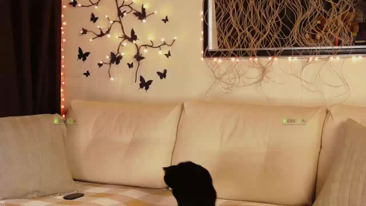 AlisaBun Live Sex December 3, 2025