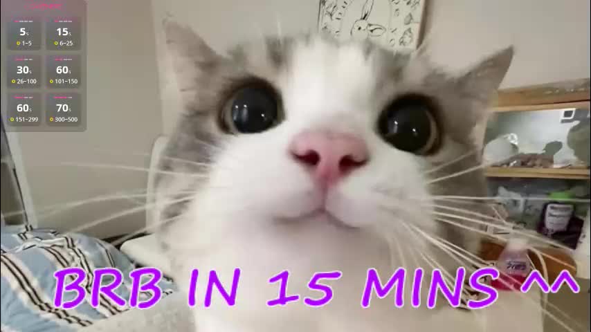 crazy__wine Live Sex December 3, 2025