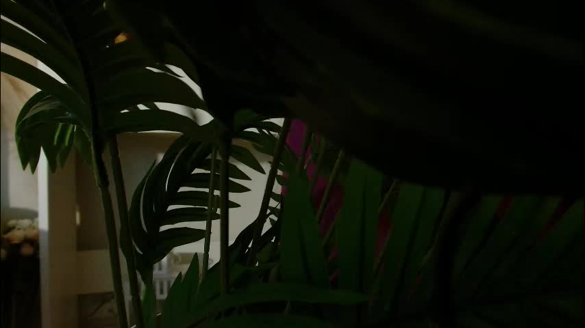 imcarrieberry Live Sex December 4, 2025