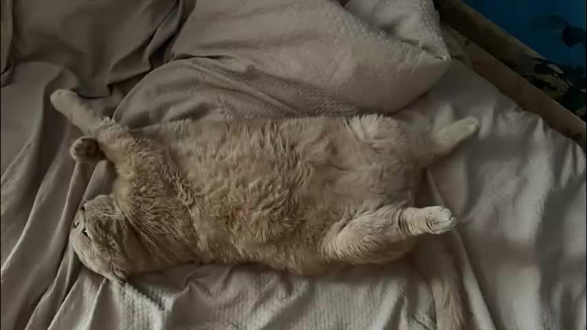 m_vikki Live Sex December 4, 2025