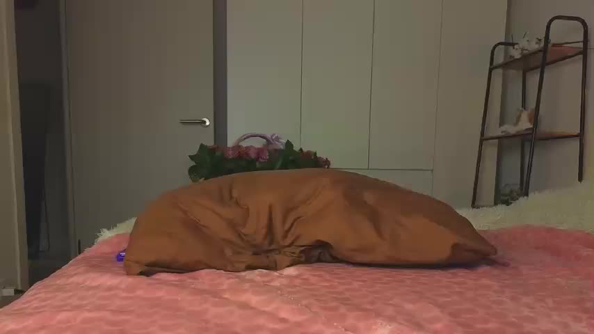 lili-roze Live Sex December 5, 2025