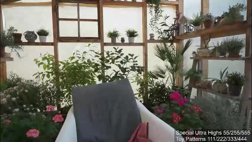 yournaughtypixie Live Sex December 7, 2025