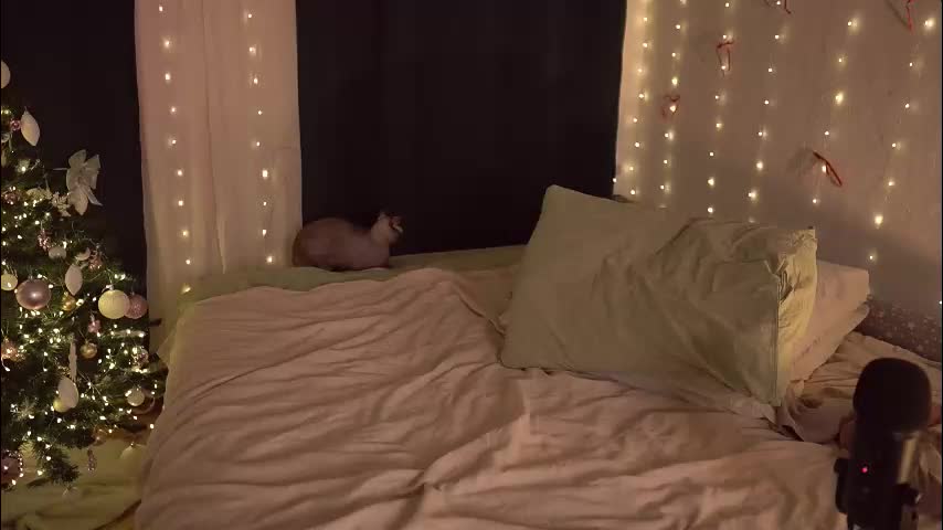 fuckingtoy_ Live Sex December 7, 2025