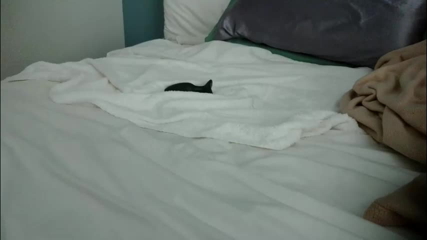 kate4unow Live Sex December 8, 2025