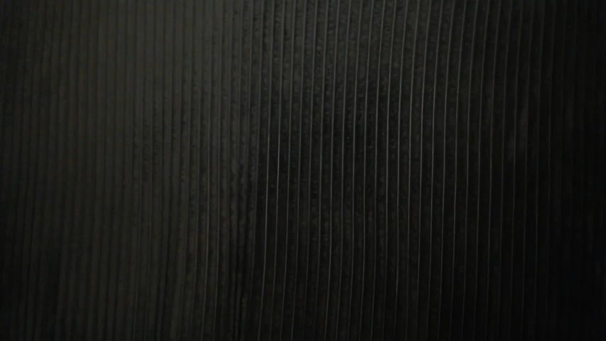 1BECHA1 Live Sex December 8, 2025