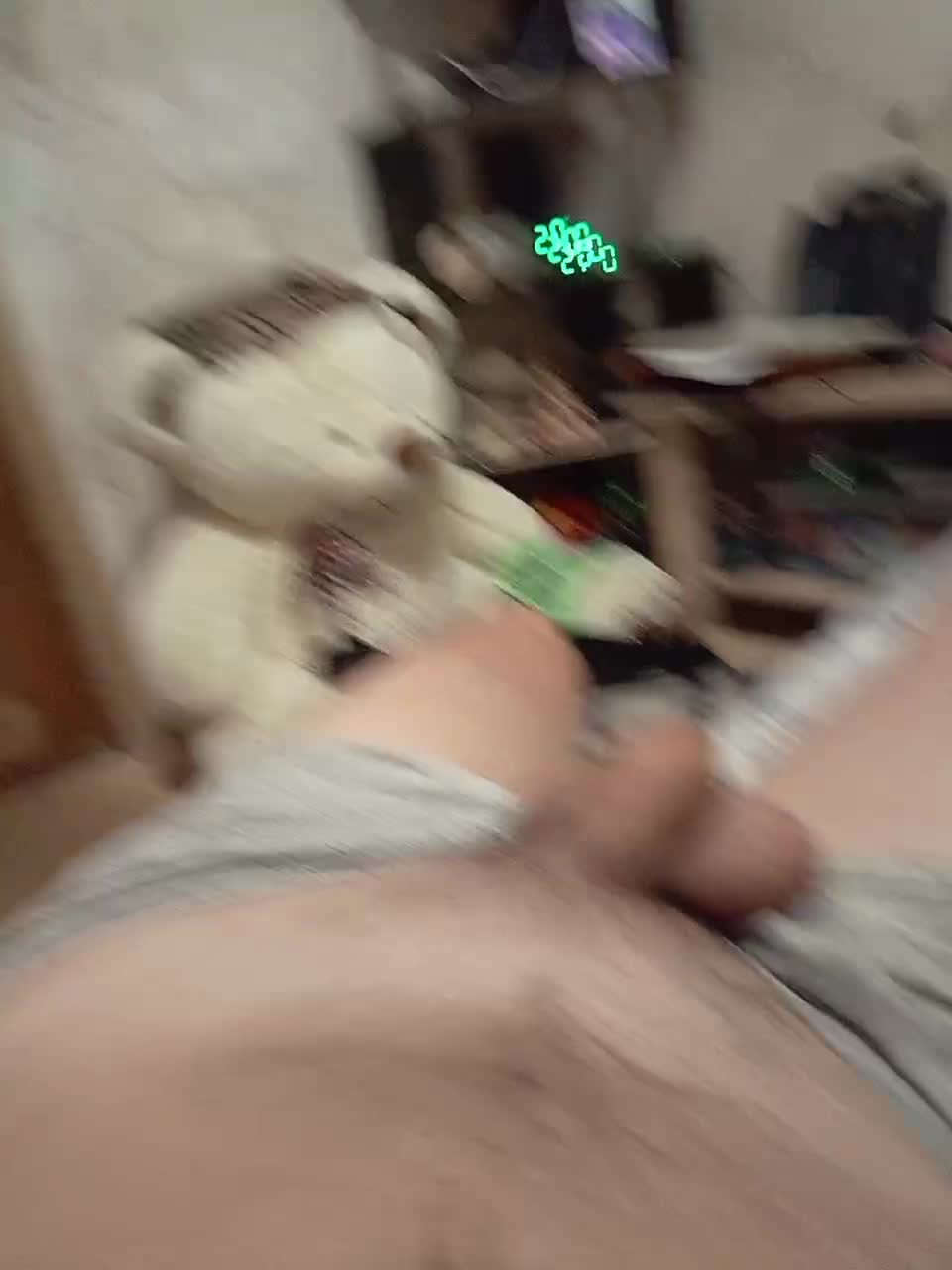 Schastlivchik10 Live Sex December 8, 2025