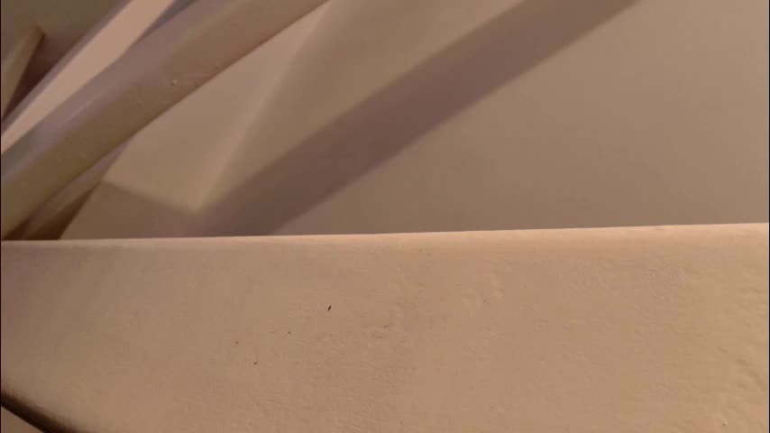 sun_place Live Sex December 8, 2025