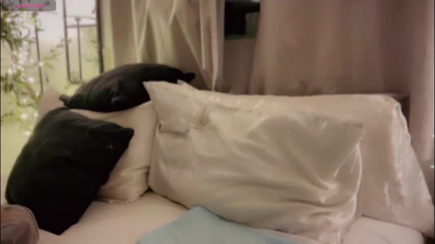 demontriaxx Live Sex December 9, 2025