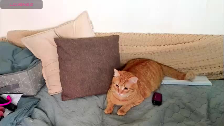 emilytrays Live Sex December 9, 2025