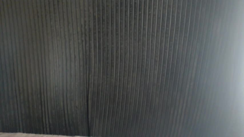 1BECHA1 Live Sex December 9, 2025