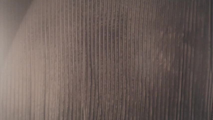 1BECHA1 Live Sex December 9, 2025