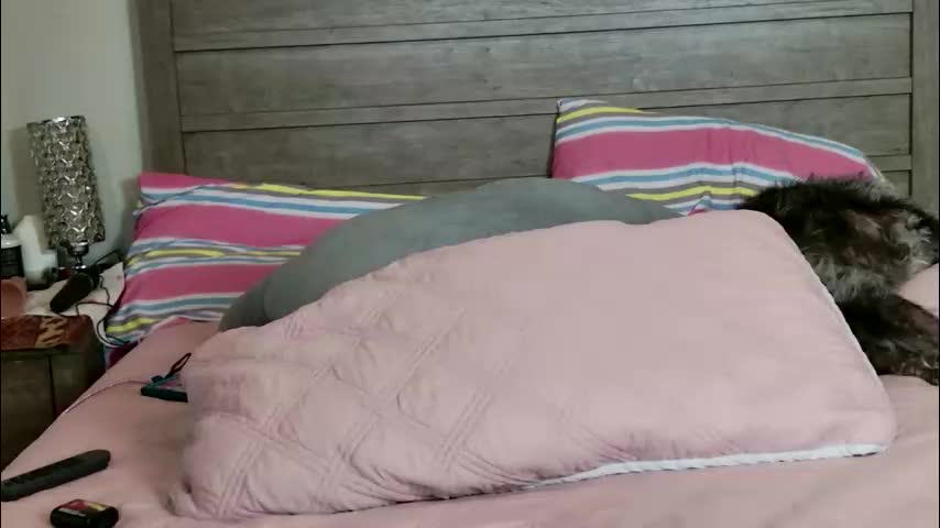 mrswadsworthy Live Sex December 10, 2025