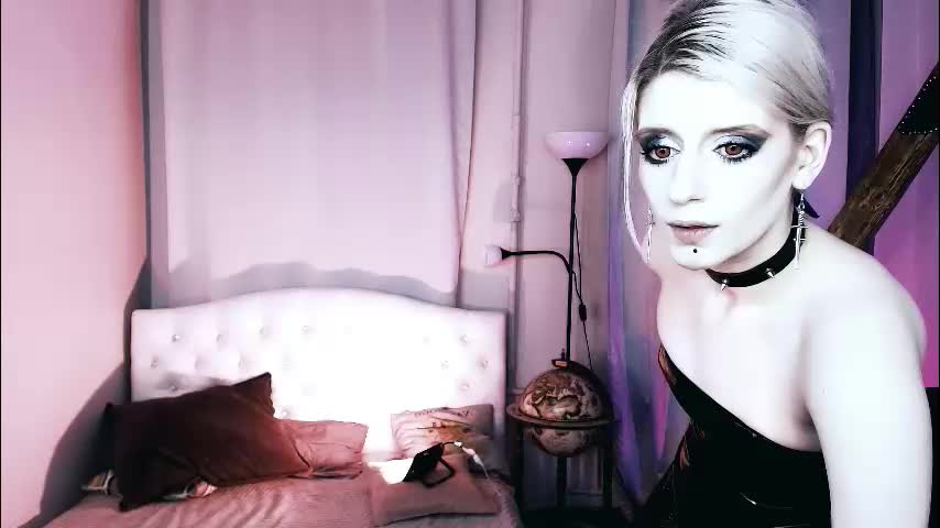 noah_elmer Live Sex December 11, 2025