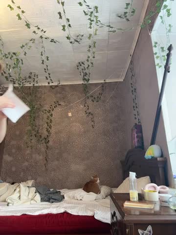 AmmyHot Live Sex December 11, 2025