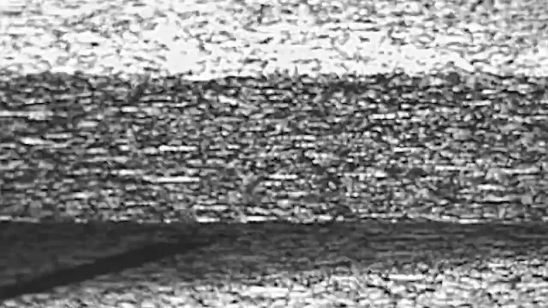 TwiceAsHotXXX Live Sex December 11, 2025